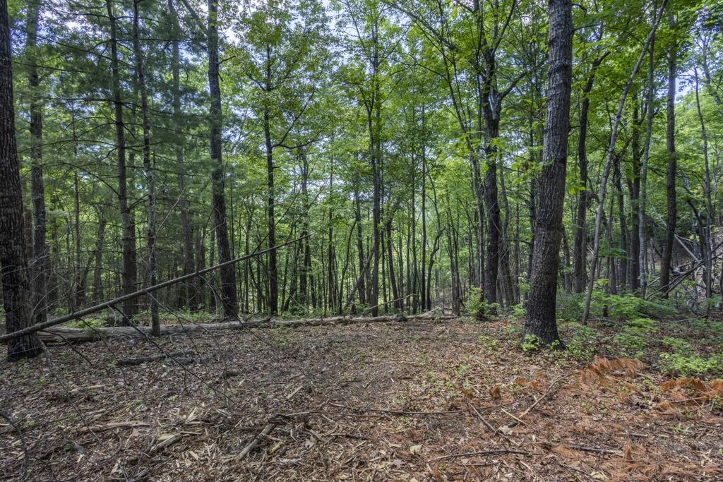 34 Ac Donley Road Property Photo 31