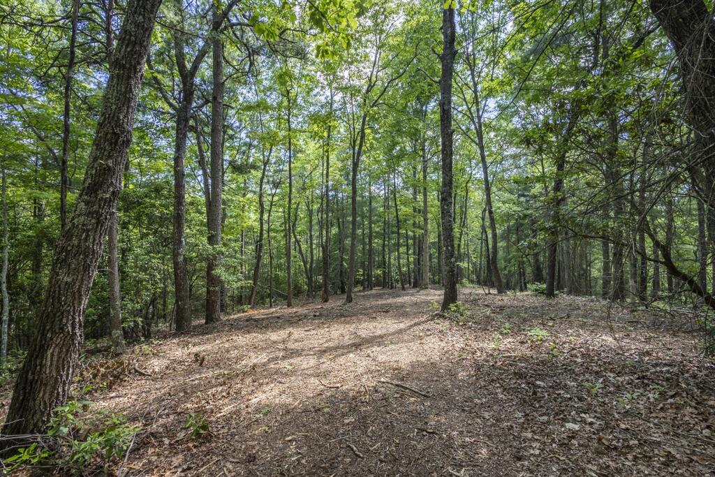 34 Ac Donley Road Property Photo 32