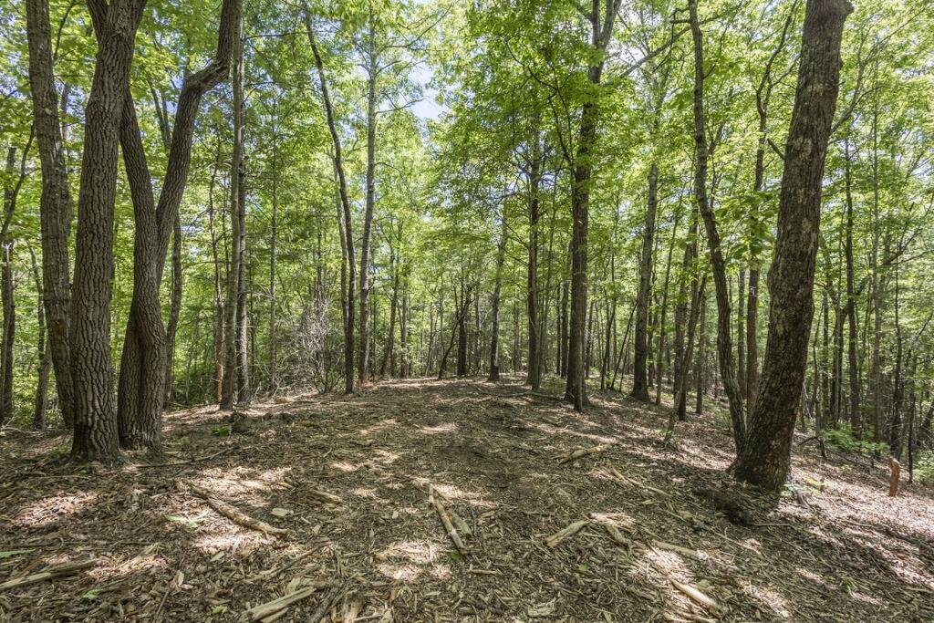 34 Ac Donley Road Property Photo 33
