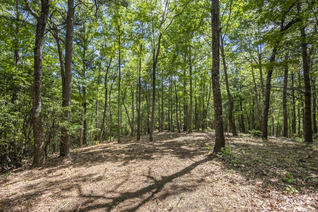 34 Ac Donley Road Property Photo 34