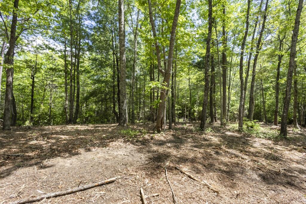34 Ac Donley Road Property Photo 35