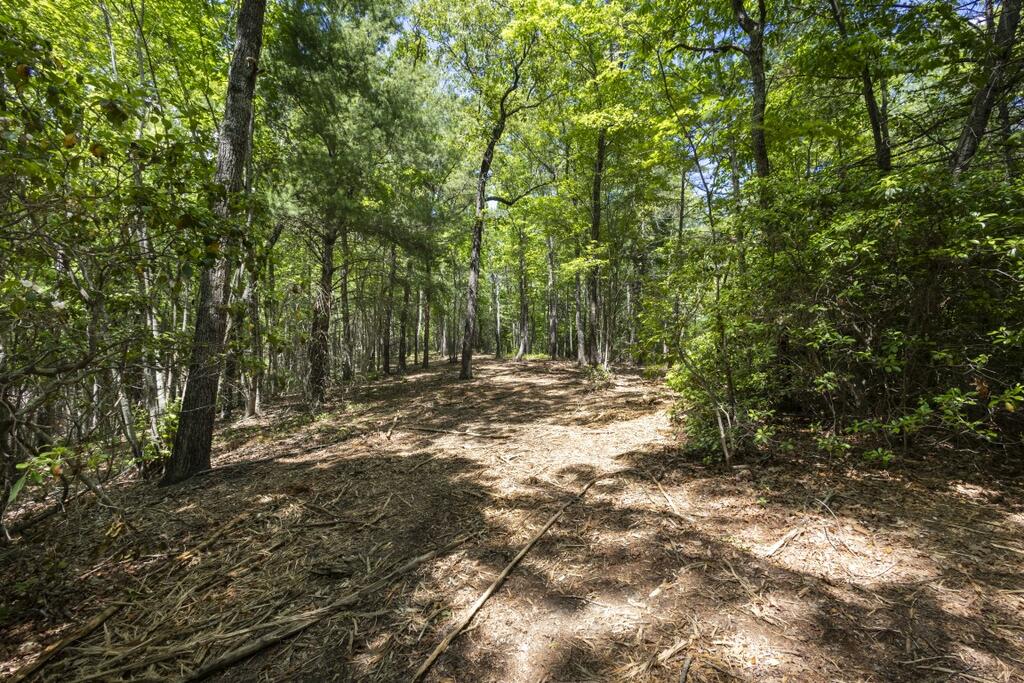 34 Ac Donley Road Property Photo 37