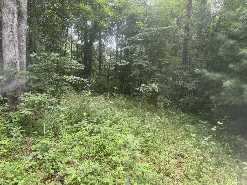 0 Camp Creek Estates Drive Property Photo 1