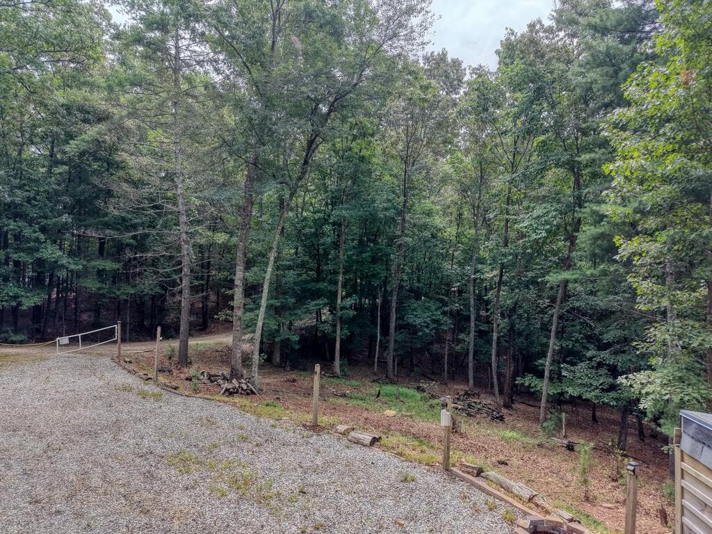155 Atkins Trail Property Photo 6