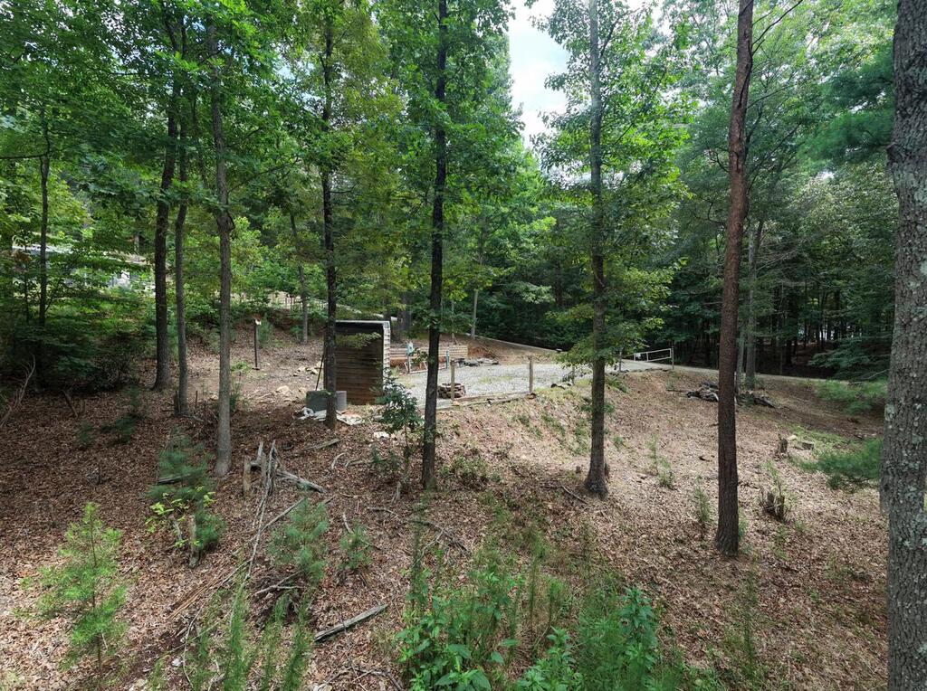 155 Atkins Trail Property Photo 7