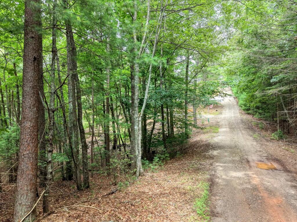 155 Atkins Trail Property Photo 8