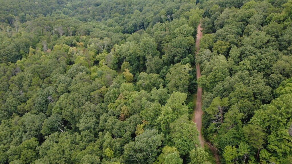 00 Firetower Road Property Photo 6