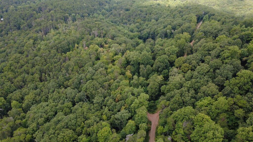 00 Firetower Road Property Photo 7