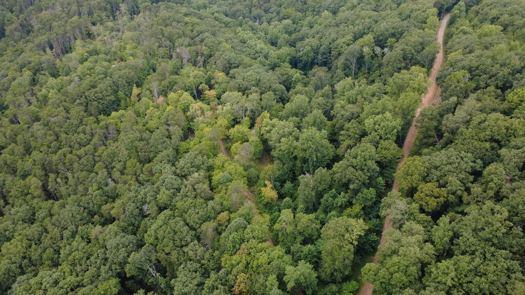 00 Firetower Road Property Photo 8