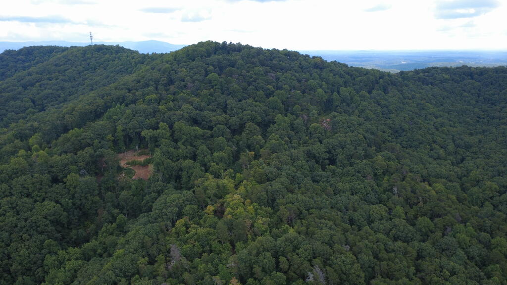 00 Firetower Road Property Photo 11