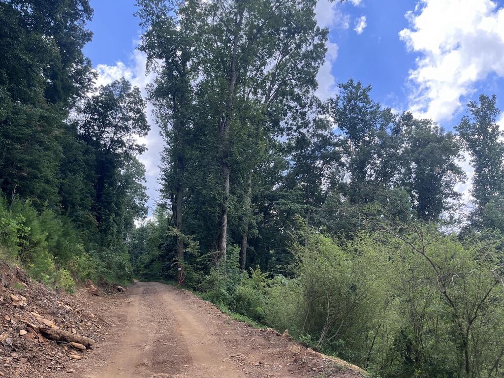 00 Firetower Road Property Photo 17