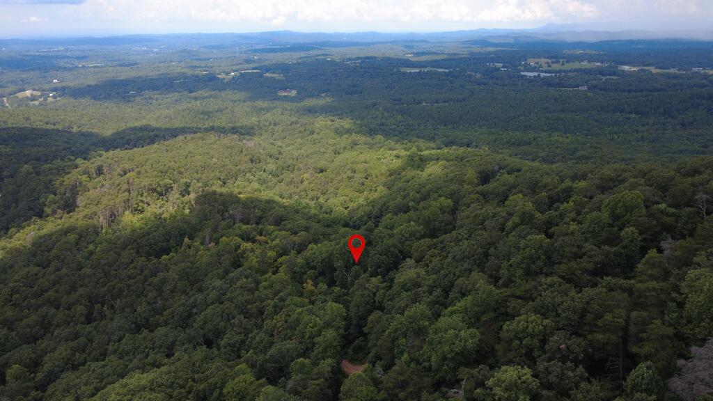 00 Firetower Road Property Photo 19