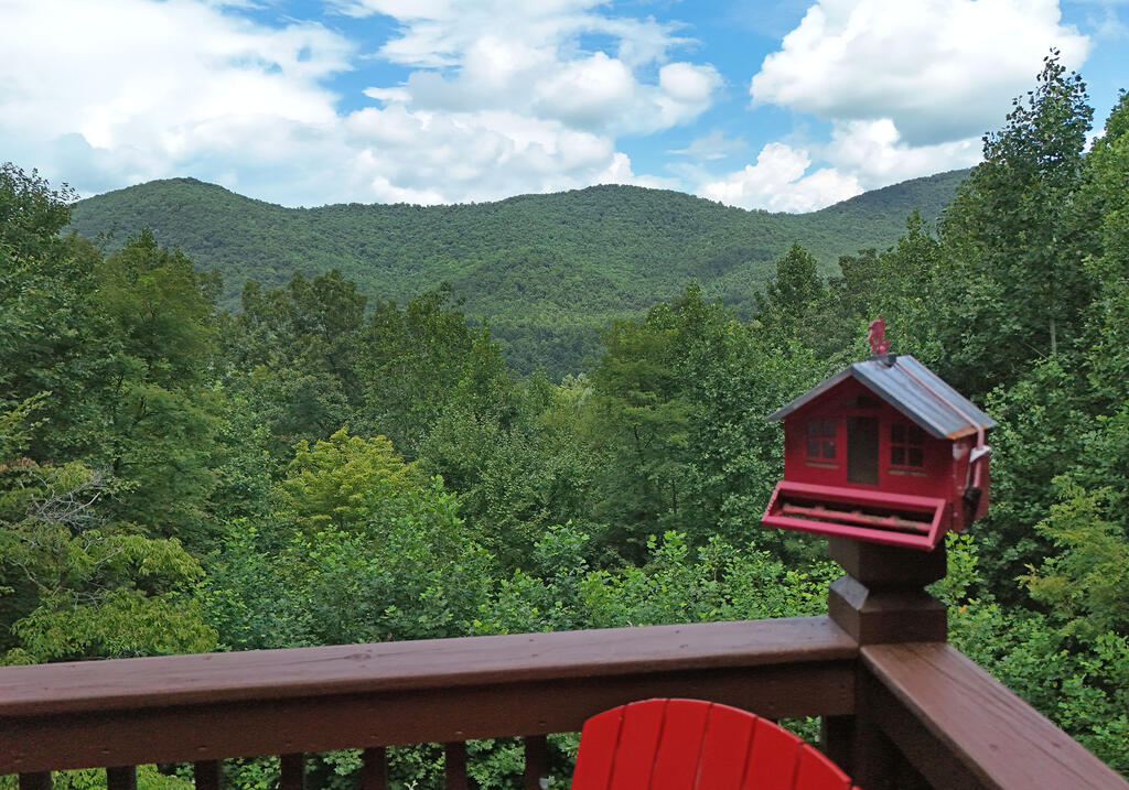 769 Ross Ridge Road Property Photo 19