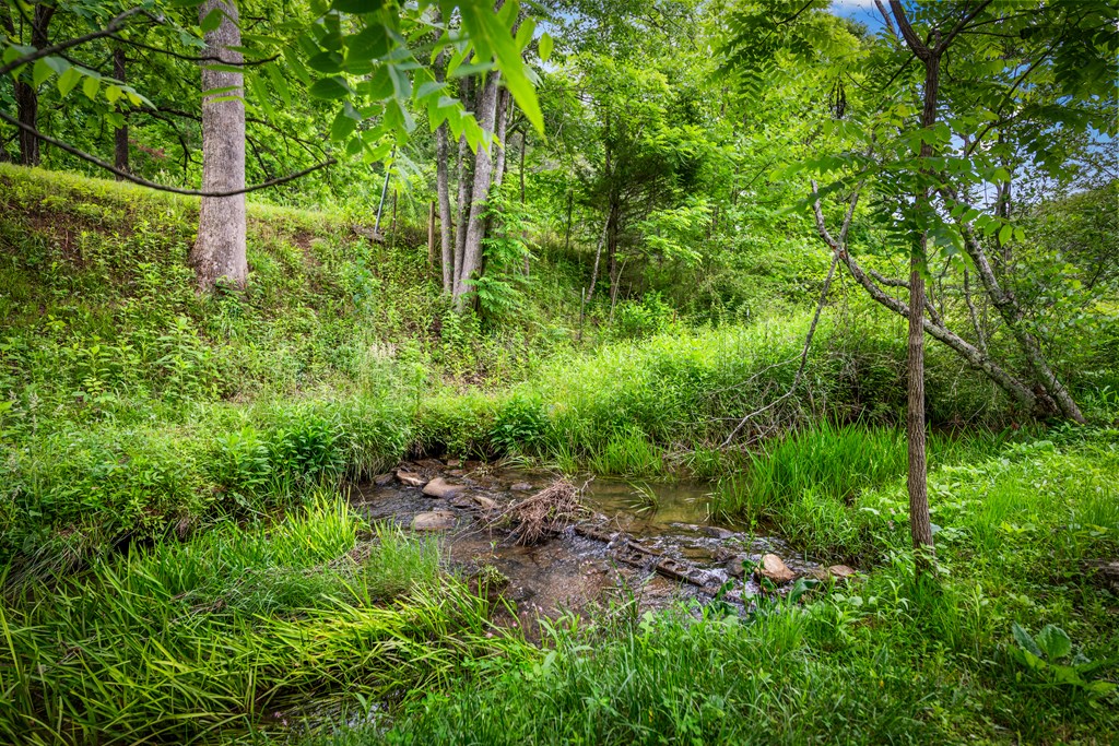 1898 Kimsey Dairy Road Property Photo 74