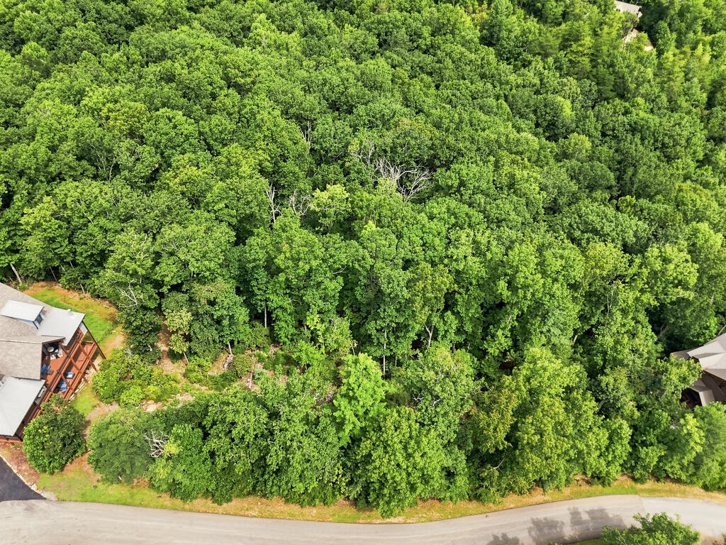 Lot 22 Deer Crest Road Property Photo 2