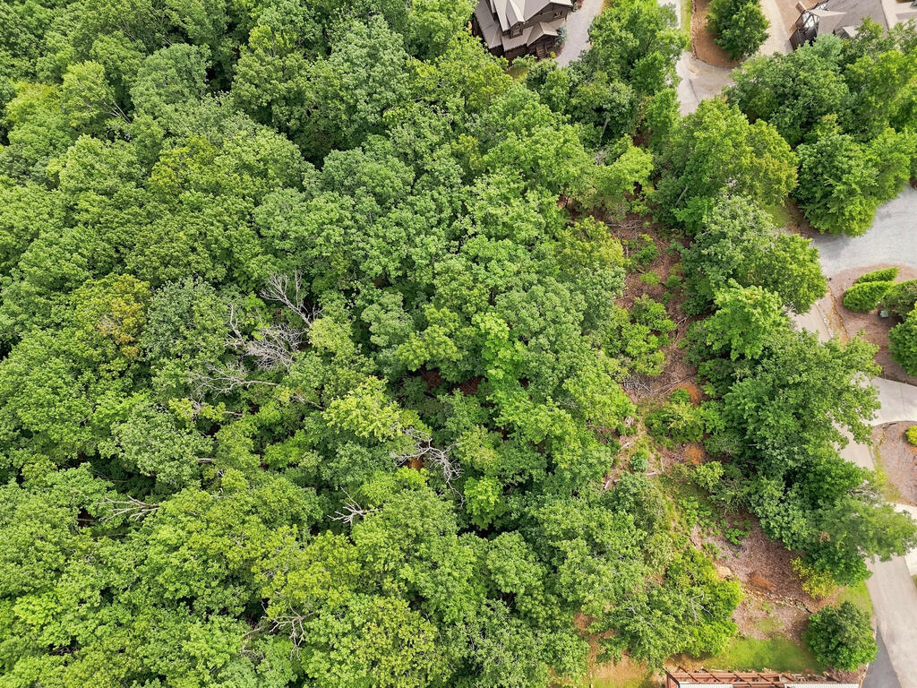Lot 22 Deer Crest Road Property Photo 4