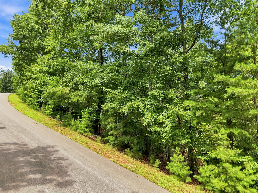 Lot 22 Deer Crest Road Property Photo 6