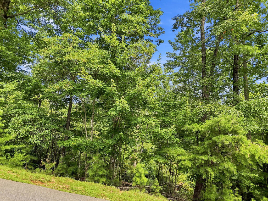Lot 22 Deer Crest Road Property Photo 7