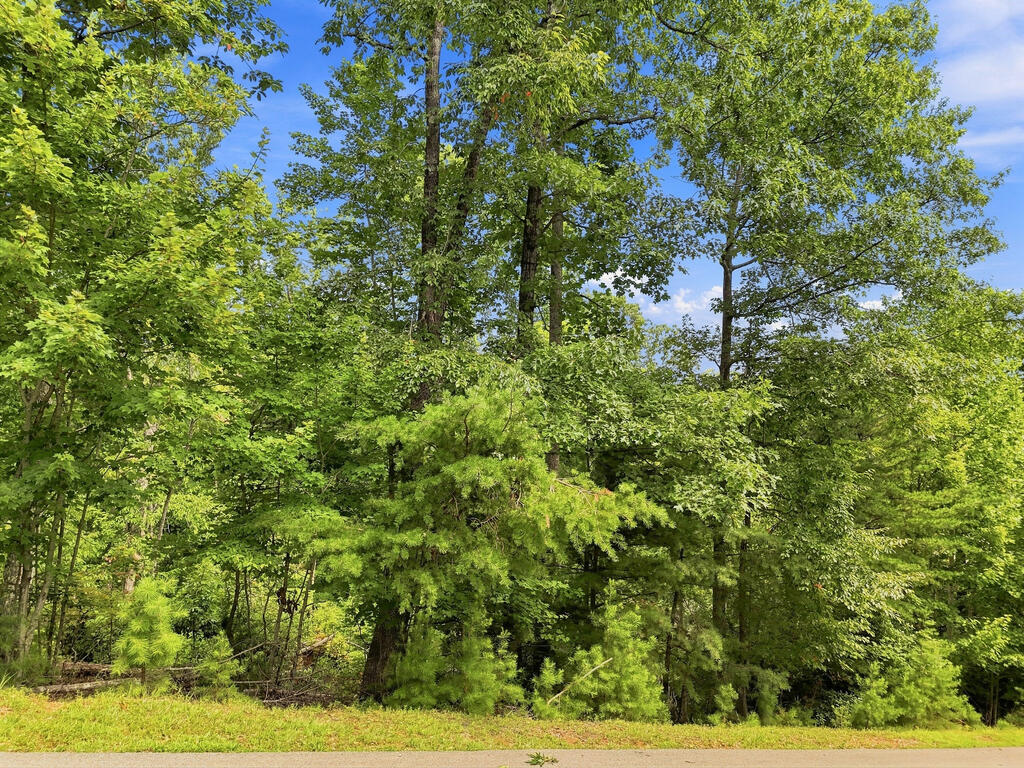 Lot 22 Deer Crest Road Property Photo 8