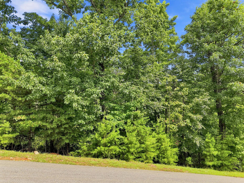 Lot 22 Deer Crest Road Property Photo 9