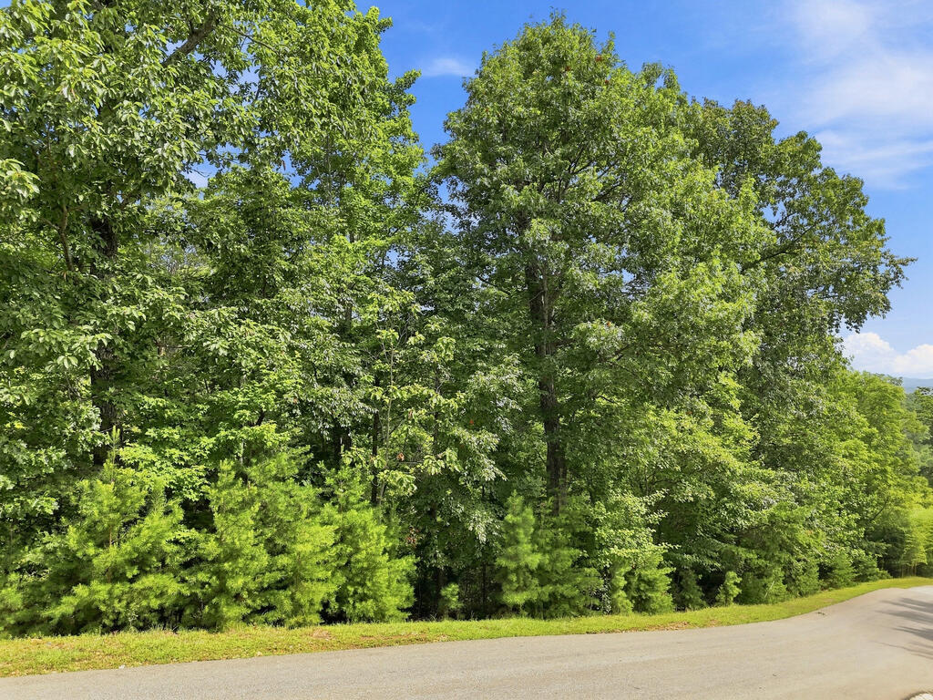Lot 22 Deer Crest Road Property Photo 10