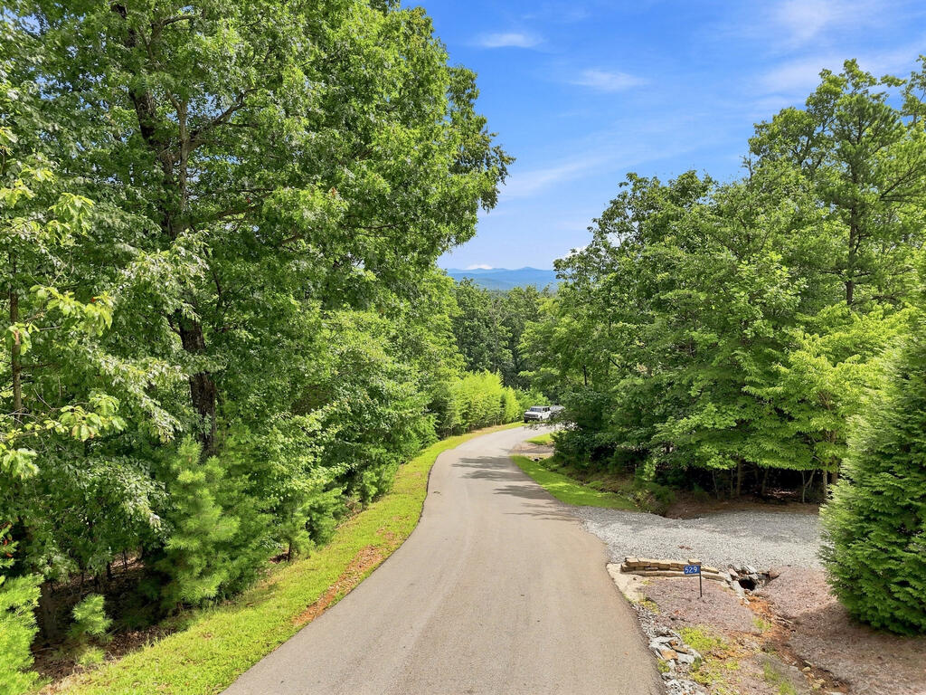 Lot 22 Deer Crest Road Property Photo 11