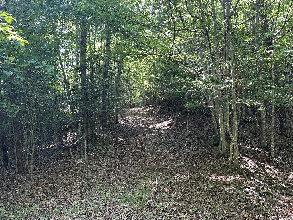 Tbd Stonefly Cove Property Photo 3