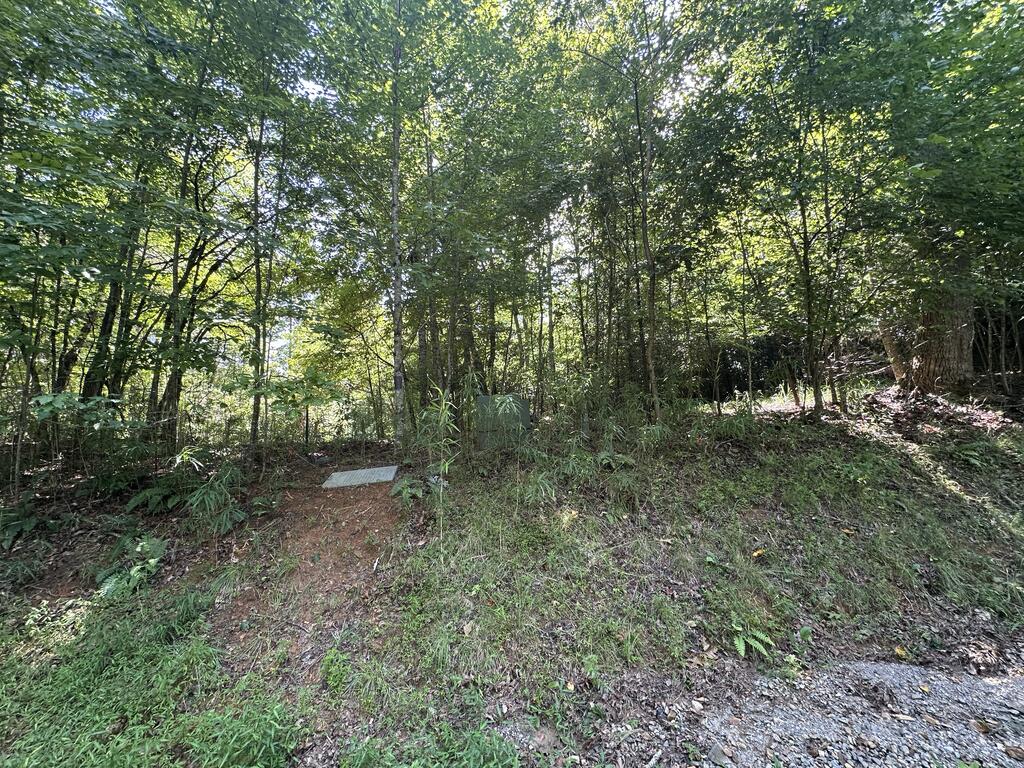 Tbd Stonefly Cove Property Photo 8