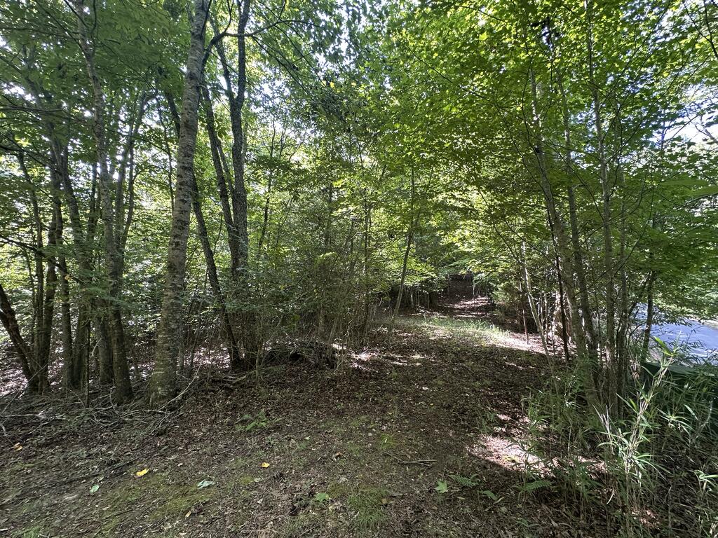 Tbd Stonefly Cove Property Photo 9