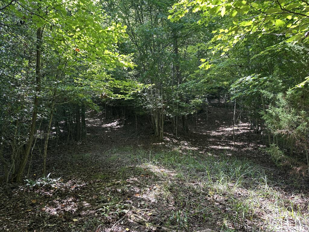 Tbd Stonefly Cove Property Photo 10
