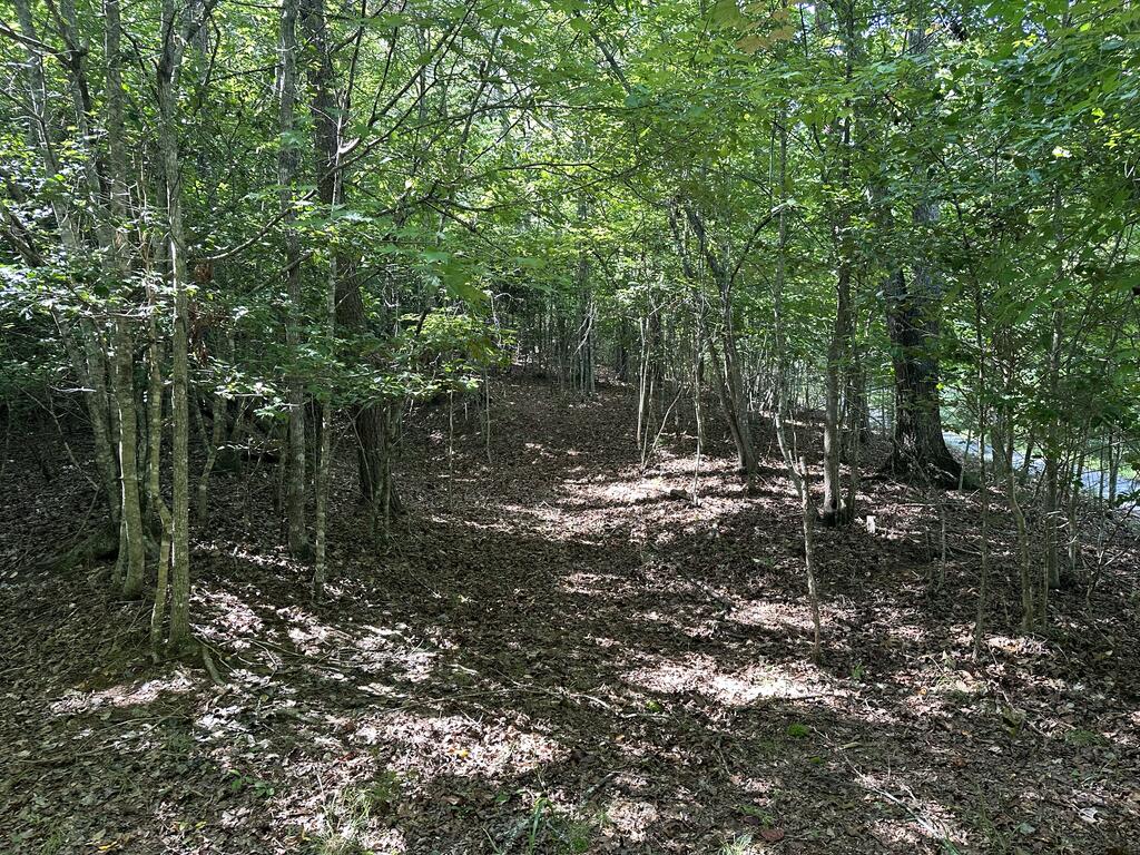 Tbd Stonefly Cove Property Photo 11