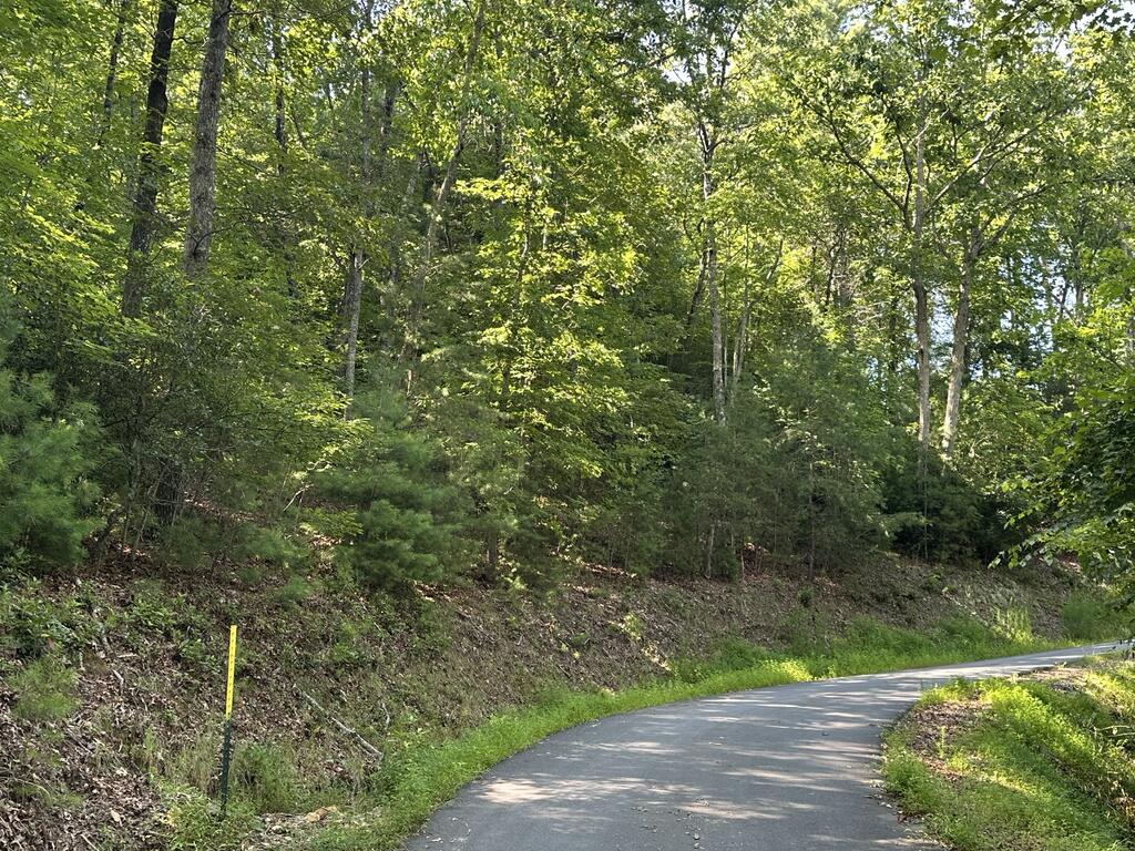 Tbd Stonefly Cove Property Photo 13