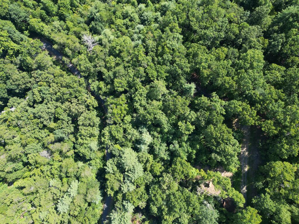 Tbd Stonefly Cove Property Photo 20