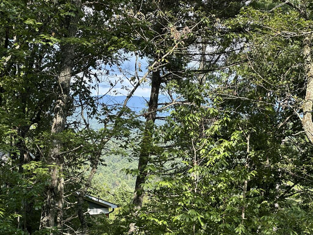 Tbd Stonefly Cove Property Photo 27