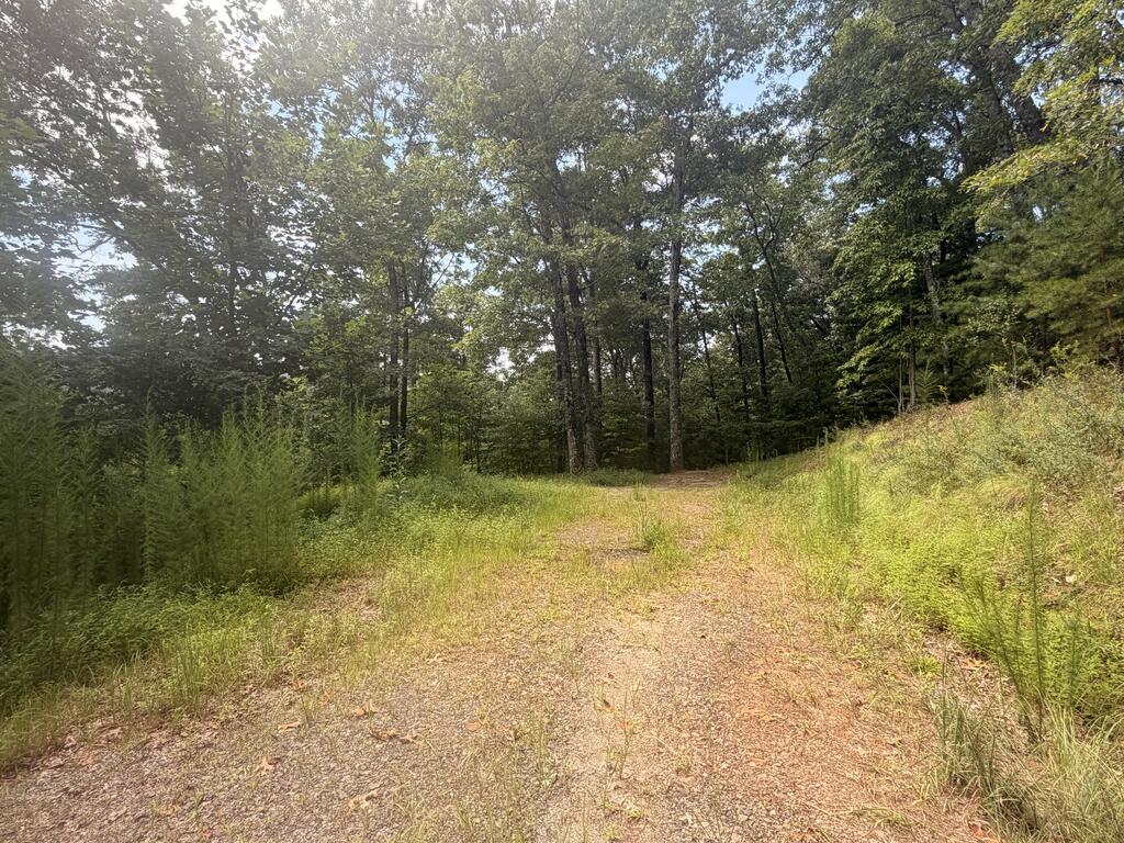 Tbd Stonefly Cove Property Photo 28