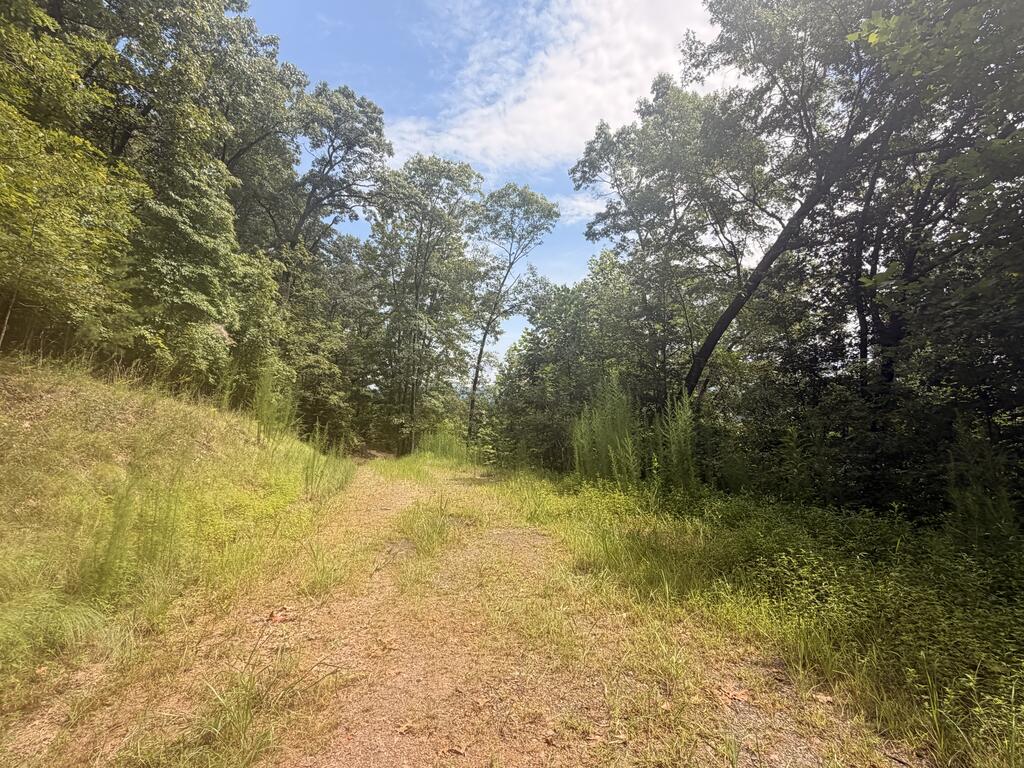 Tbd Stonefly Cove Property Photo 29