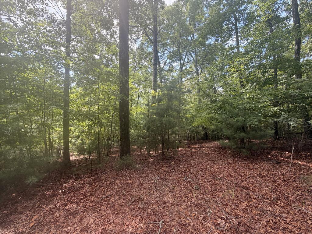 Tbd Stonefly Cove Property Photo 30
