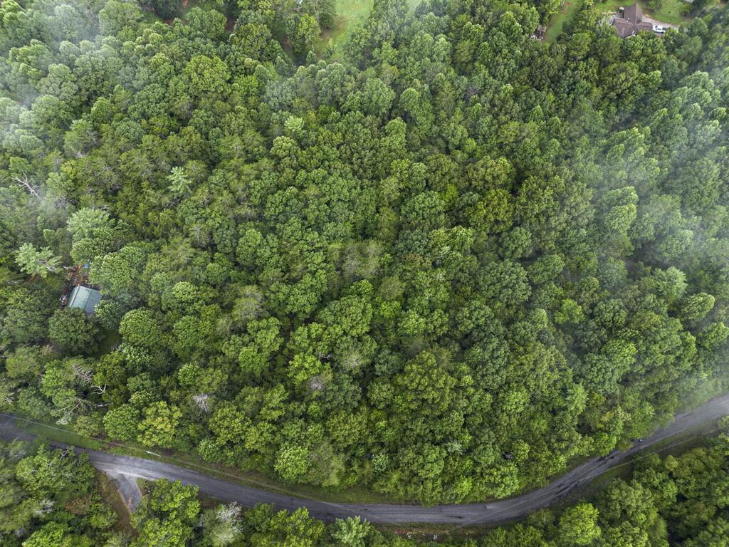 5.34 Ac Hill Top Circle Property Photo 2