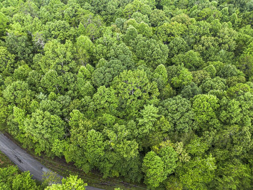 5.34 Ac Hill Top Circle Property Photo 3