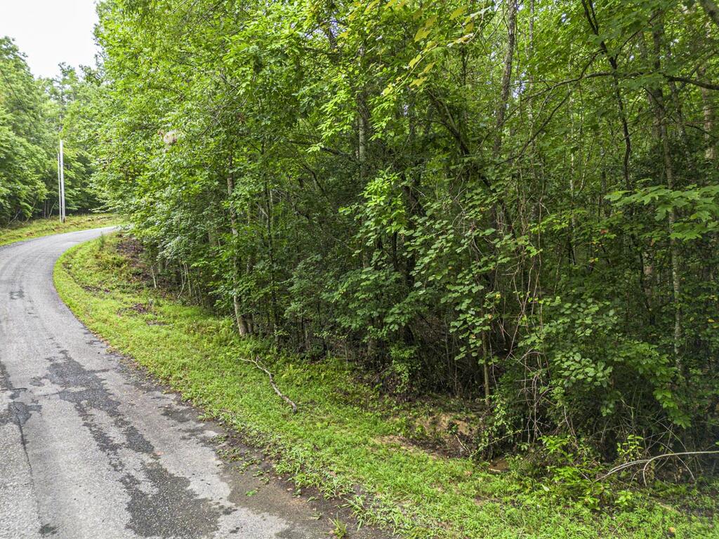 5.34 Ac Hill Top Circle Property Photo 4