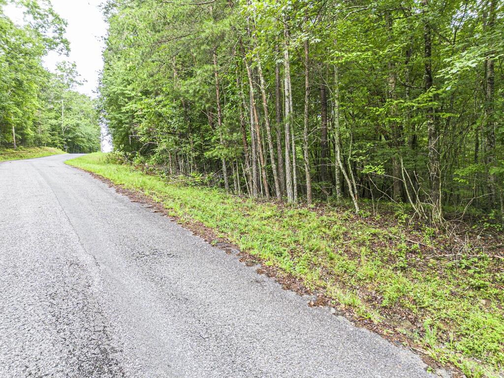 5.34 Ac Hill Top Circle Property Photo 5