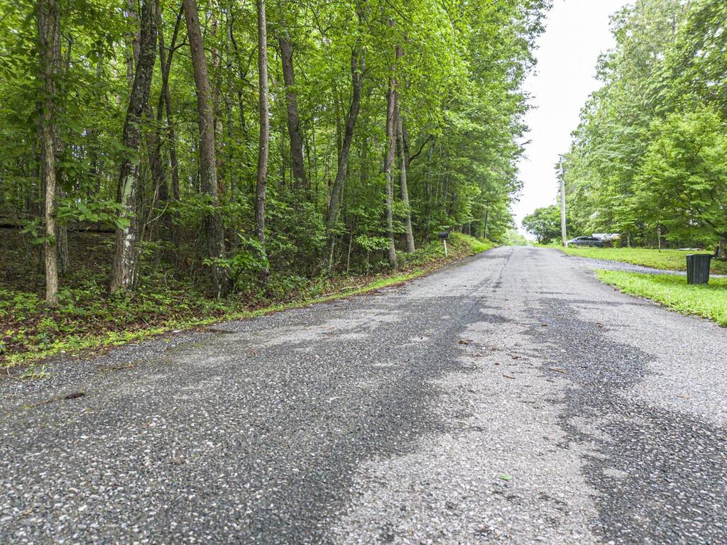 5.34 Ac Hill Top Circle Property Photo 6