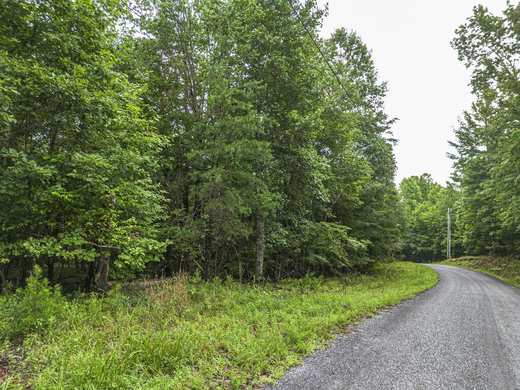 5.34 Ac Hill Top Circle Property Photo 7