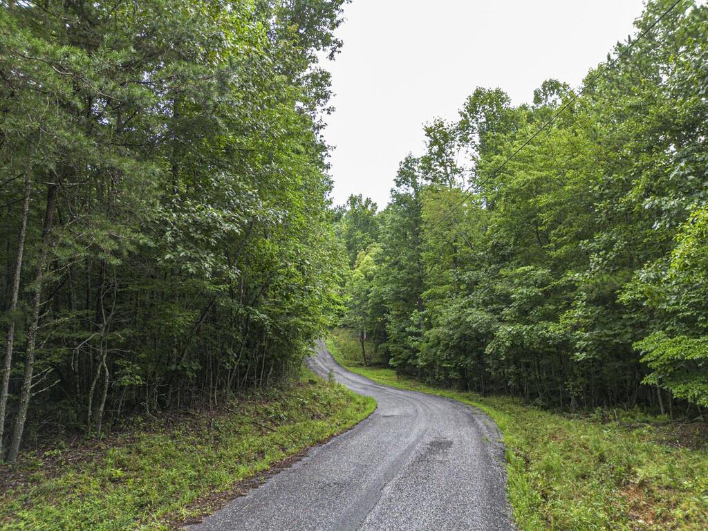 5.34 Ac Hill Top Circle Property Photo 8