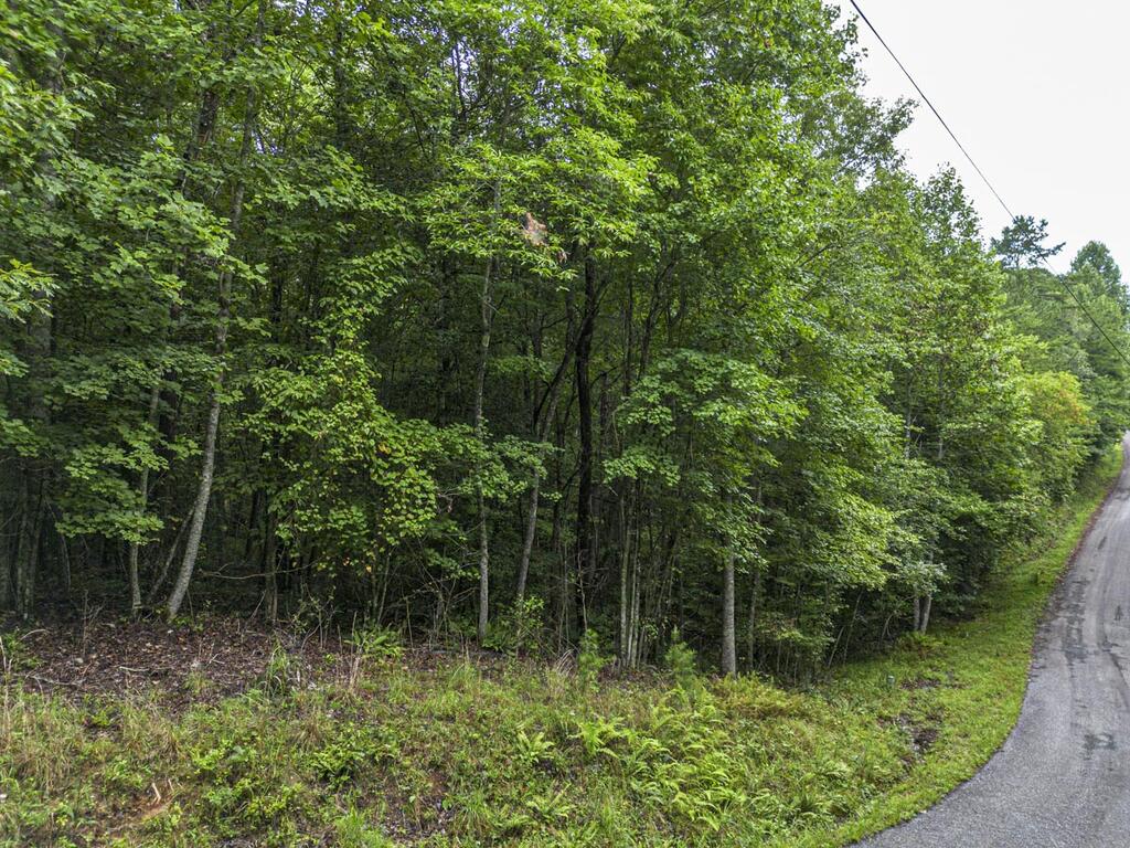 5.34 Ac Hill Top Circle Property Photo 9
