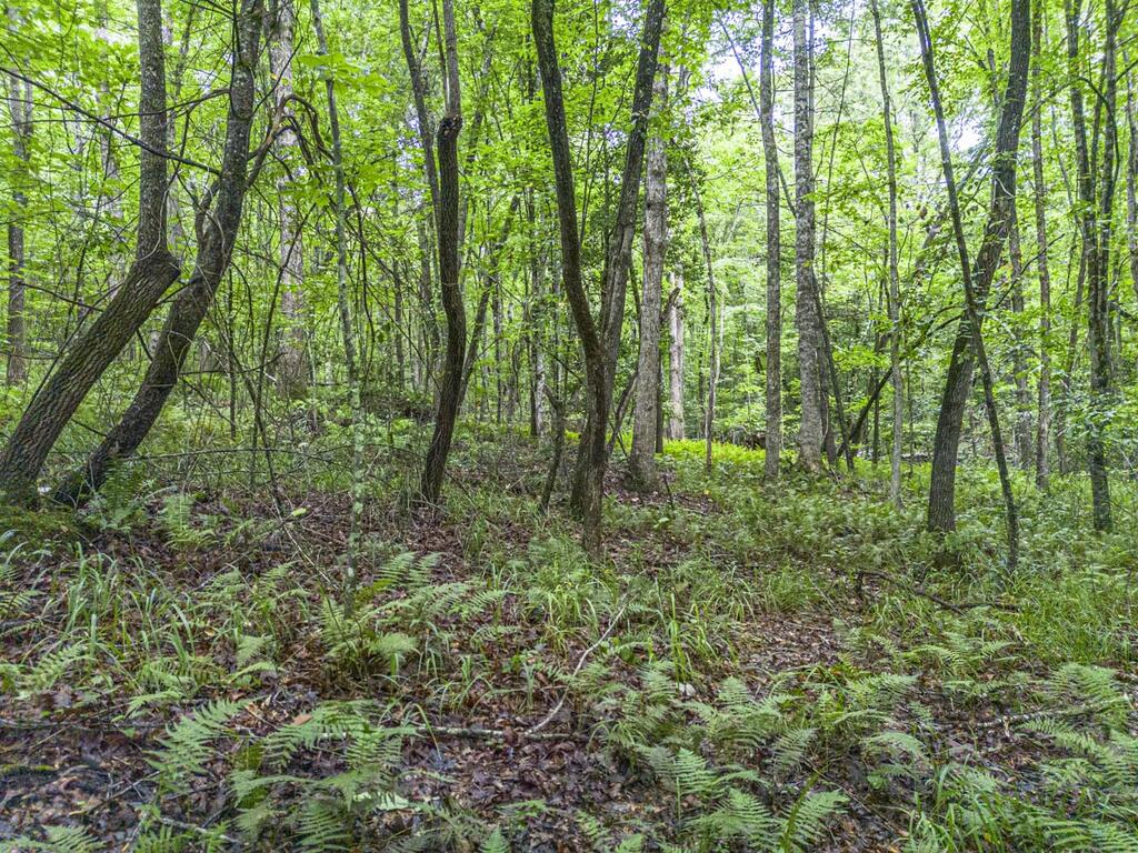 5.34 Ac Hill Top Circle Property Photo 10