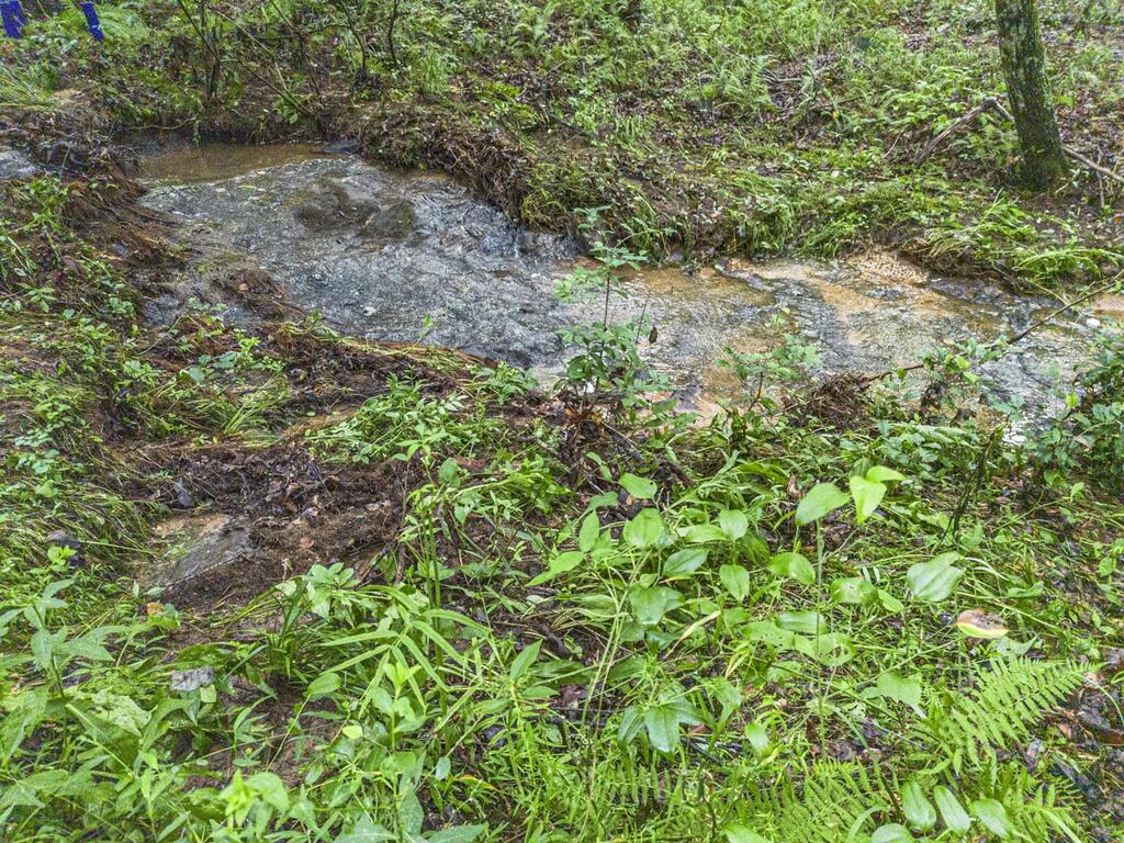 5.34 Ac Hill Top Circle Property Photo 11