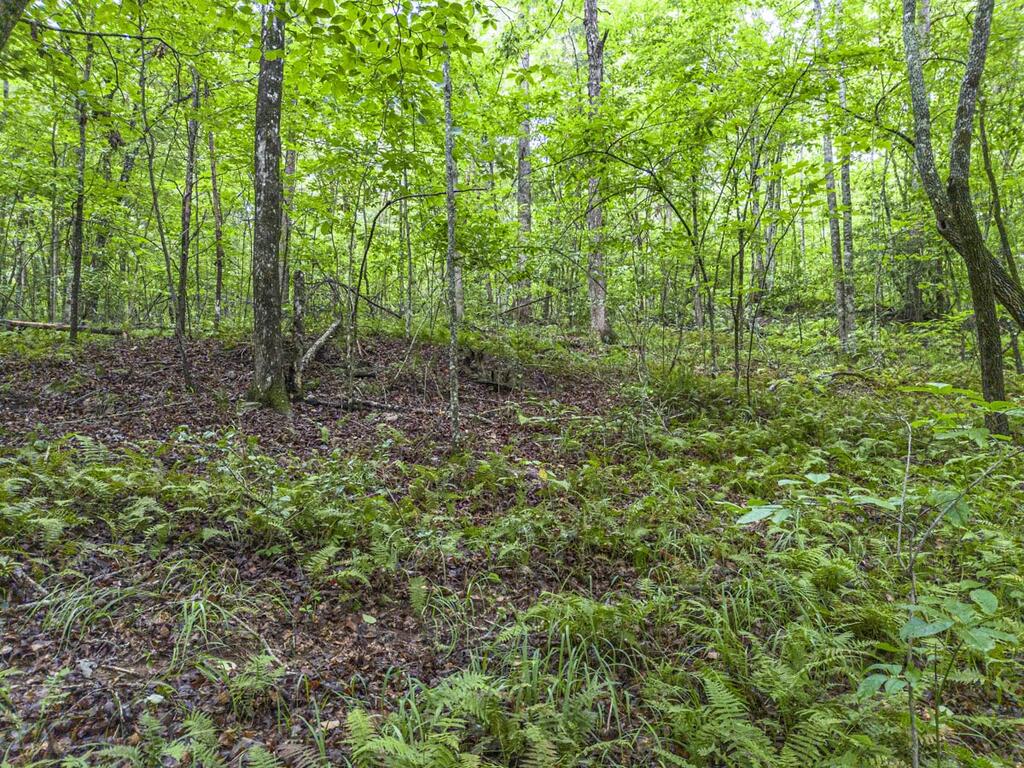 5.34 Ac Hill Top Circle Property Photo 13