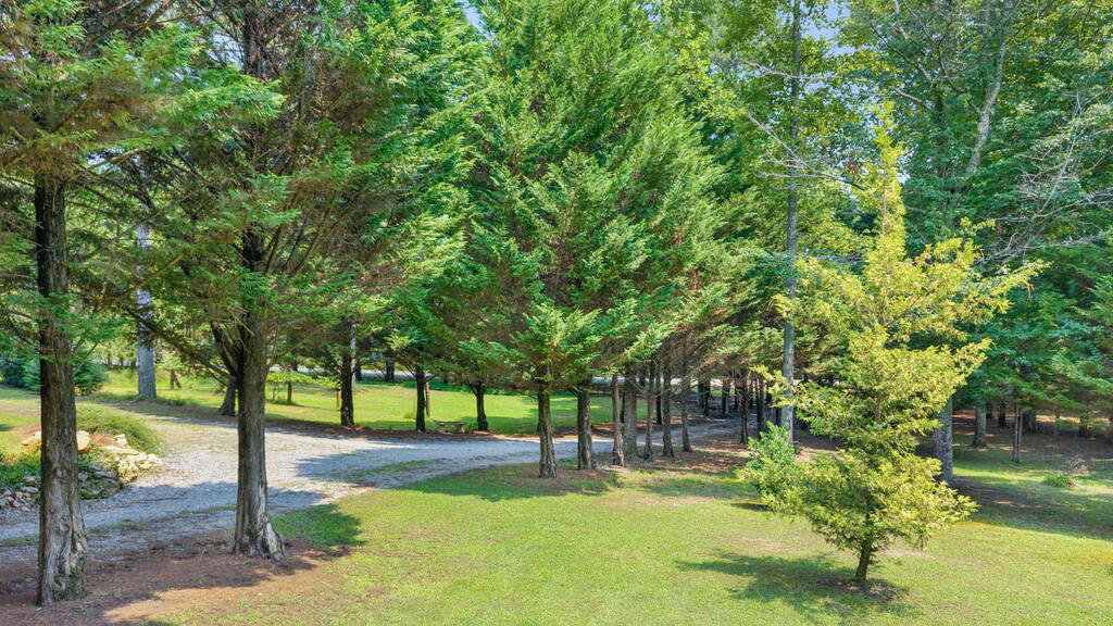 2064 Knight Road Property Photo 60