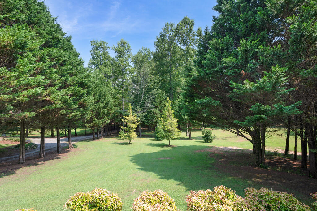 2064 Knight Road Property Photo 62